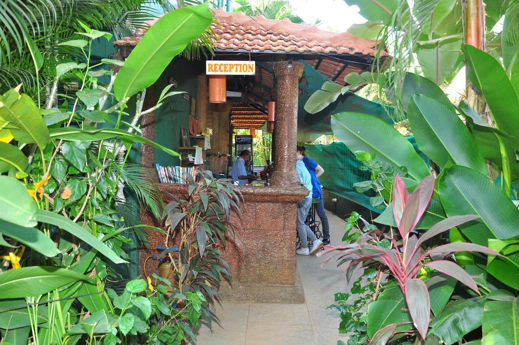 Villa Theresa Beach Resort Calangute Zewnętrze zdjęcie