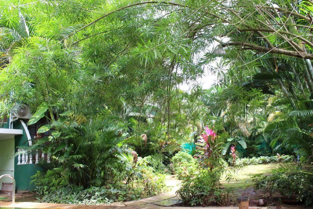 Villa Theresa Beach Resort Calangute Zewnętrze zdjęcie